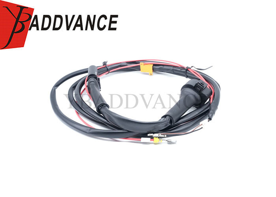 Factory Direct OEM ODM 6 Pin Male Female Pioneer Water Resistant Wire Harness For VW