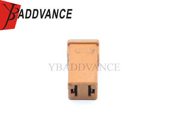 Female Electrical Housing Auto Wire Harness 2 Pin Terminals Connector Micro Cartridge Fuses 30 AM 06102076AA
