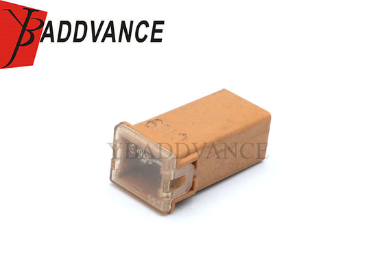 Female Electrical Housing Auto Wire Harness 2 Pin Terminals Connector Micro Cartridge Fuses 30 AM 06102076AA