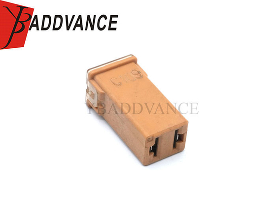 Female Electrical Housing Auto Wire Harness 2 Pin Terminals Connector Micro Cartridge Fuses 30 AM 06102076AA
