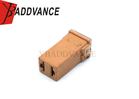 Female Electrical Housing Auto Wire Harness 2 Pin Terminals Connector Micro Cartridge Fuses 30 AM 06102076AA