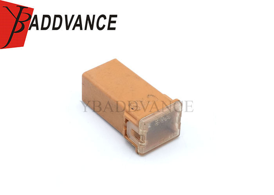 Female Electrical Housing Auto Wire Harness 2 Pin Terminals Connector Micro Cartridge Fuses 30 AM 06102076AA