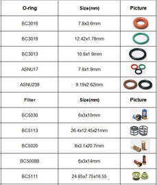 Fuel Pump Filter Fuel Injector Repair Kits ASNU30F Black Color High Precision
